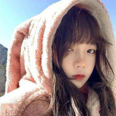 168极速赛车官网计划