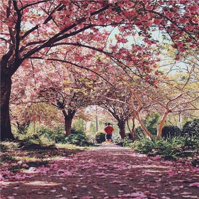 万博全站官网app最新版下载截图