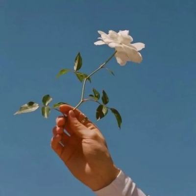 森林舞会游戏下