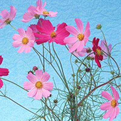 乐鱼竞彩官网下载手机版