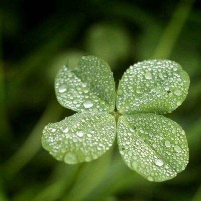 乐鱼竞彩官网截图