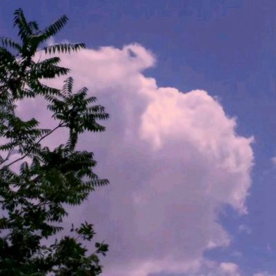 博盈体育软件下载官网